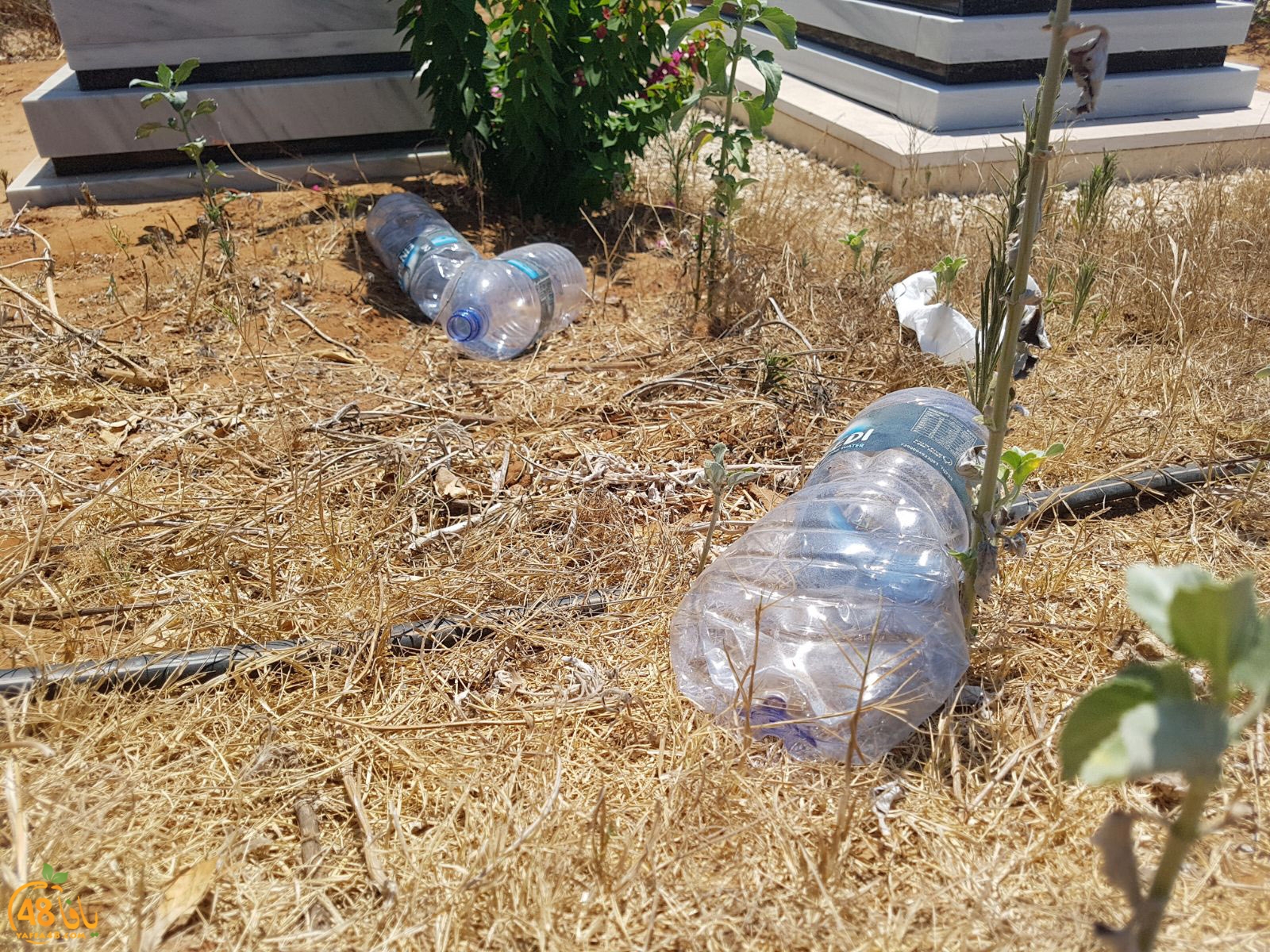 tasoo mabkqbara (4).jpg